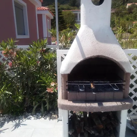 Margarita Villa