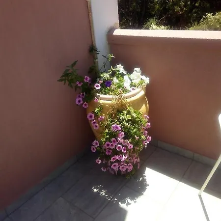 Margarita * Ζόλα